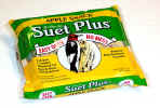 sp-apple-1-flat.jpg